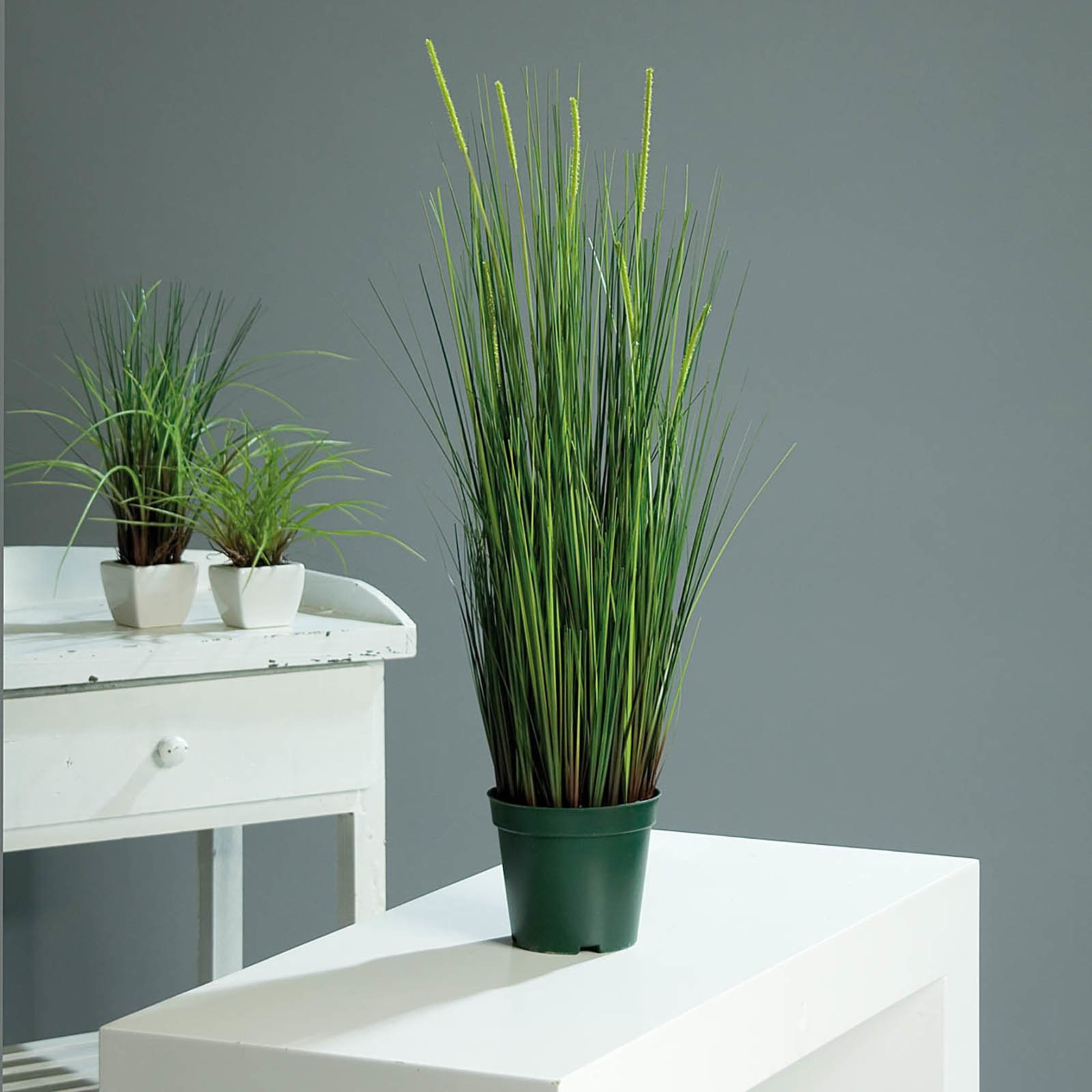 Isolepsis-Arrangement - Kunstpflanze - grün | Kunstpflanzen | Deko