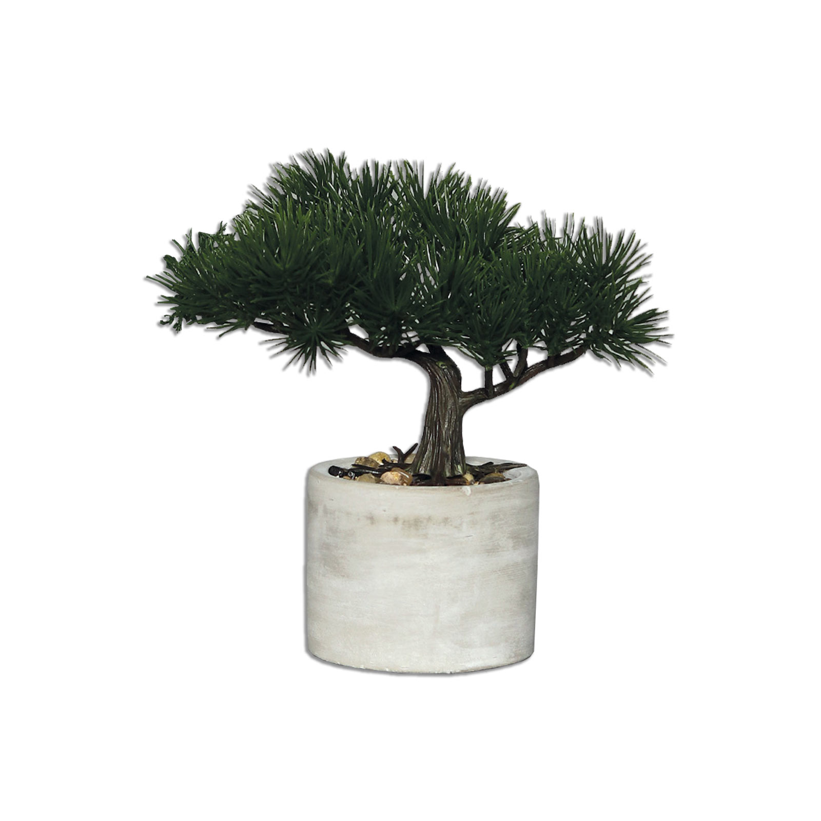 Bonsai - grün-grau- sortiert - 18 cm hoch