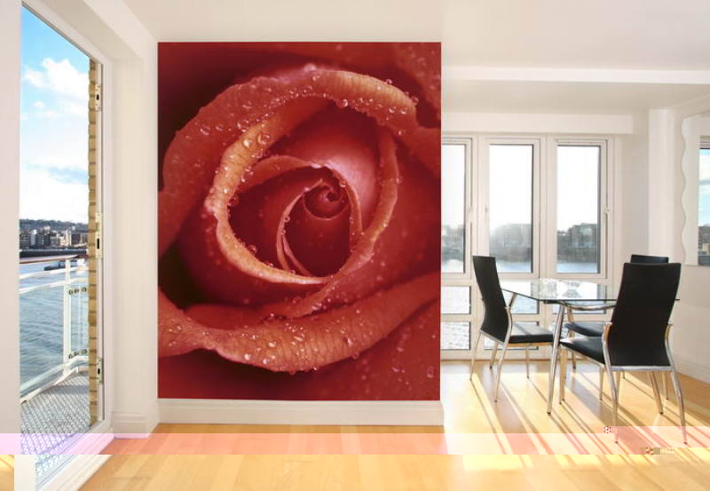 Fototapete 4-teilig Pinke Rose