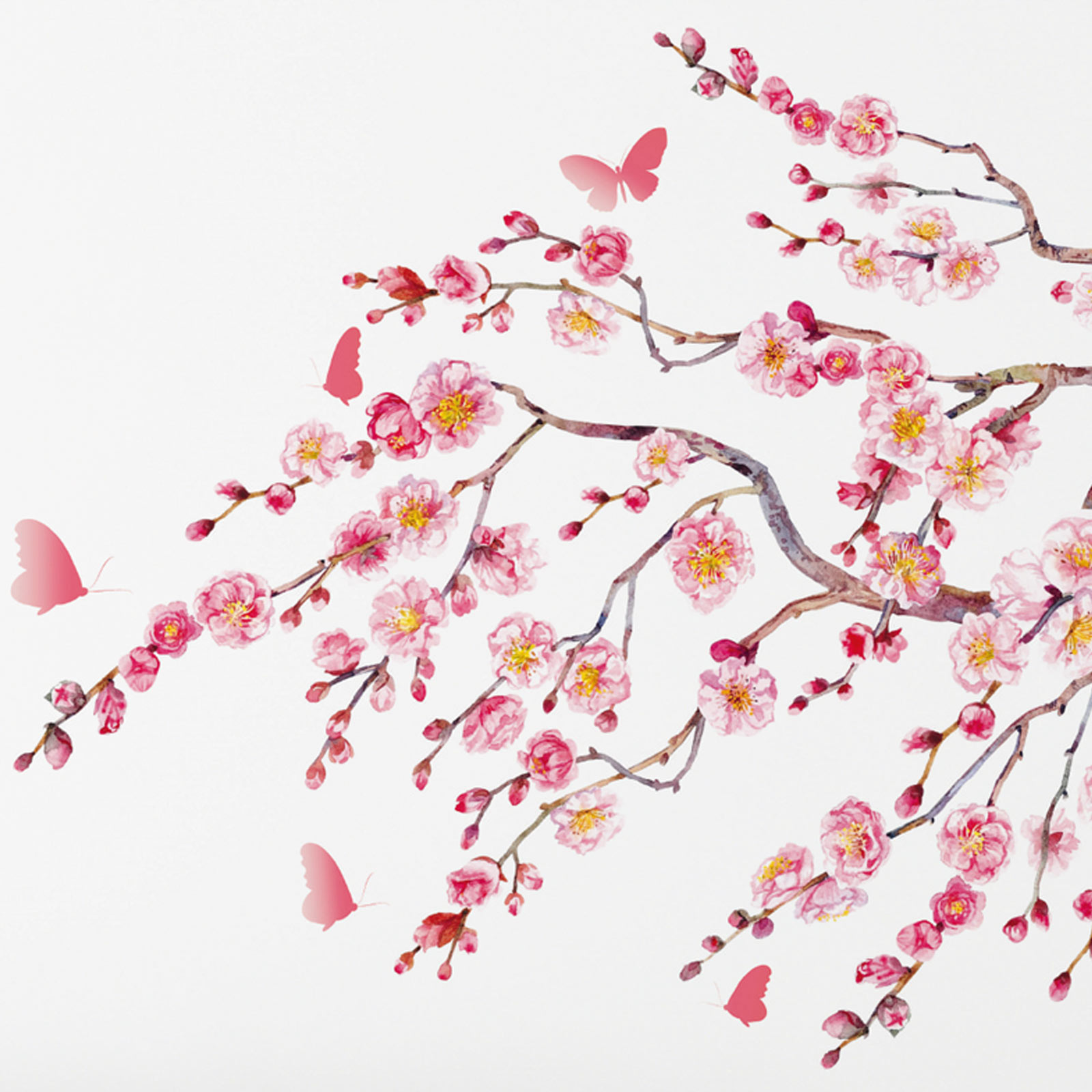 Wandtattoo - pink - Kischblüten-Motiv - selbstklebend