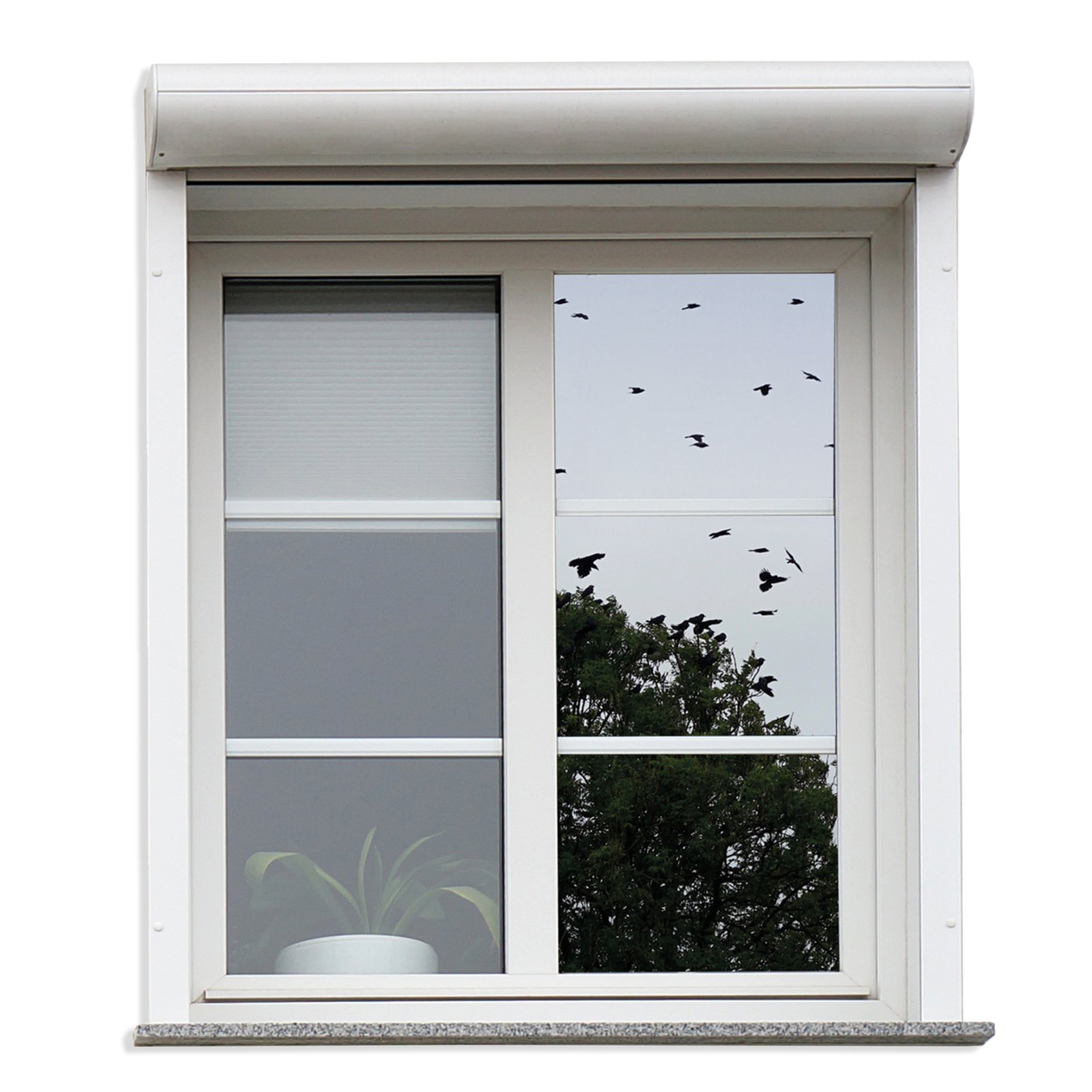D-C-FIX - Fensterfolie selbstklebend 90 x 150 cm