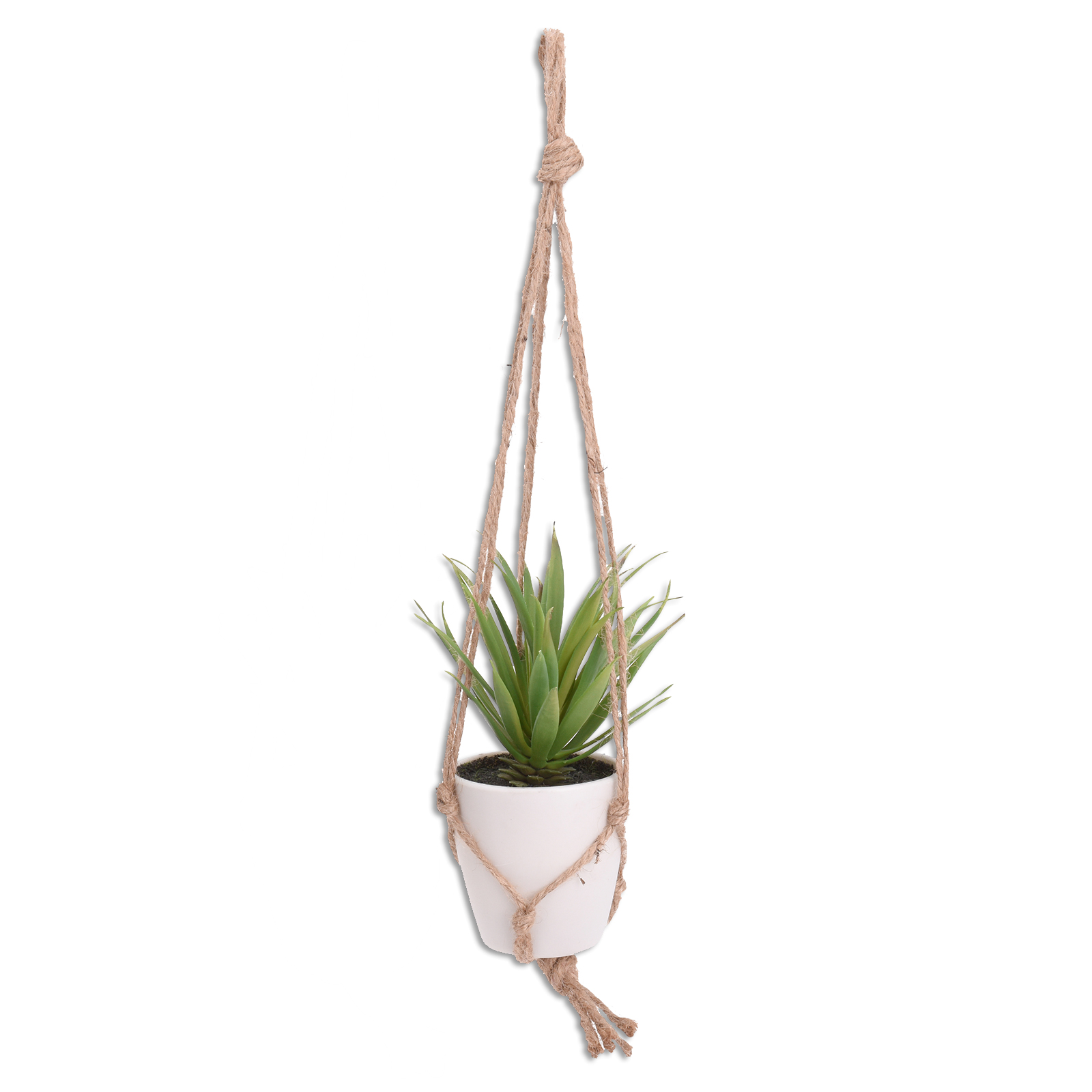 Dekopflanze - 48 cm hoch