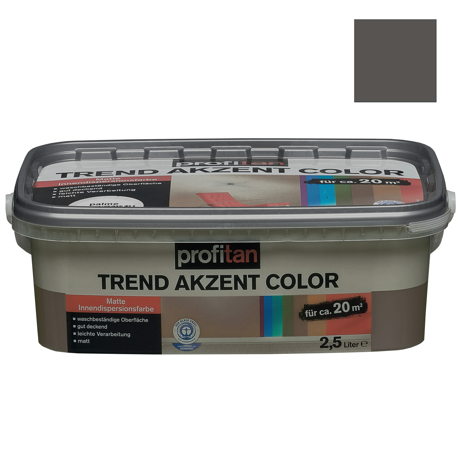 profitan Wandfarbe Trend Akzent Color - lakritz matt - 2,5 Liter