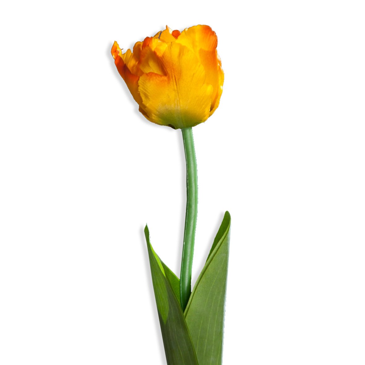 wohnzimmer deko orange:Tulpe – orange – Kunstpflanze – 64 cm wohnzimmer deko orange:Tulpe – orange – Kunstpflanze – 64 cm