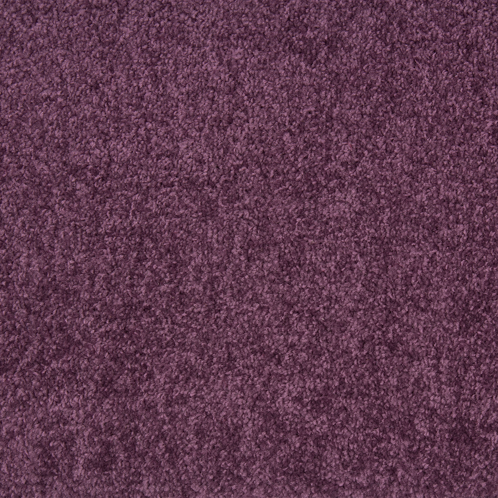Teppichboden Violett 4 Meter Breit Online Bei Roller Kaufen