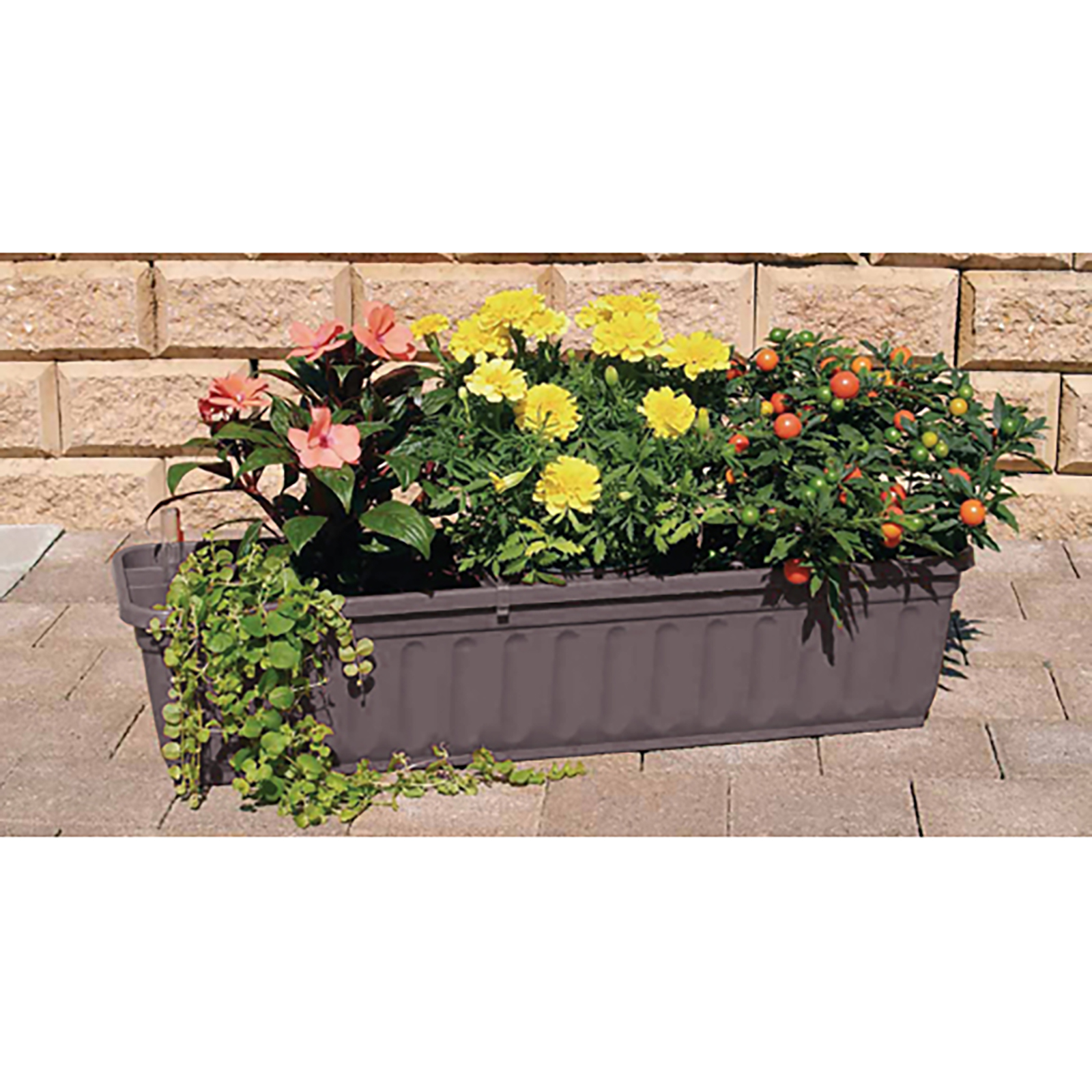 Blumenkasten - anthrazit - Länge 60 cm