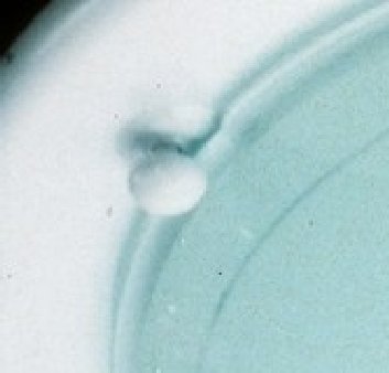 Deckenleuchte - weiß - rund - Ø 30 cm