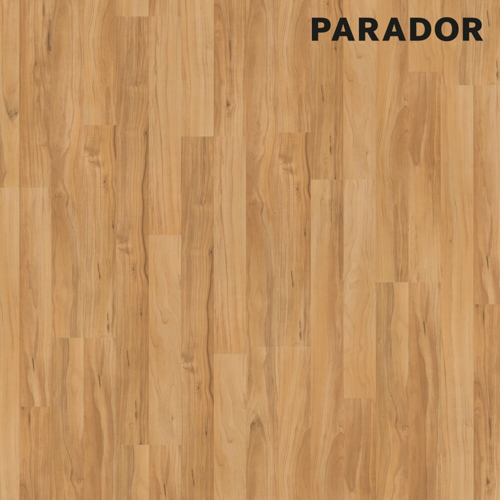 PARADOR Laminat BASIC 400 - Apfel Bernstein - 8 mm | Online bei ROLLER ...
