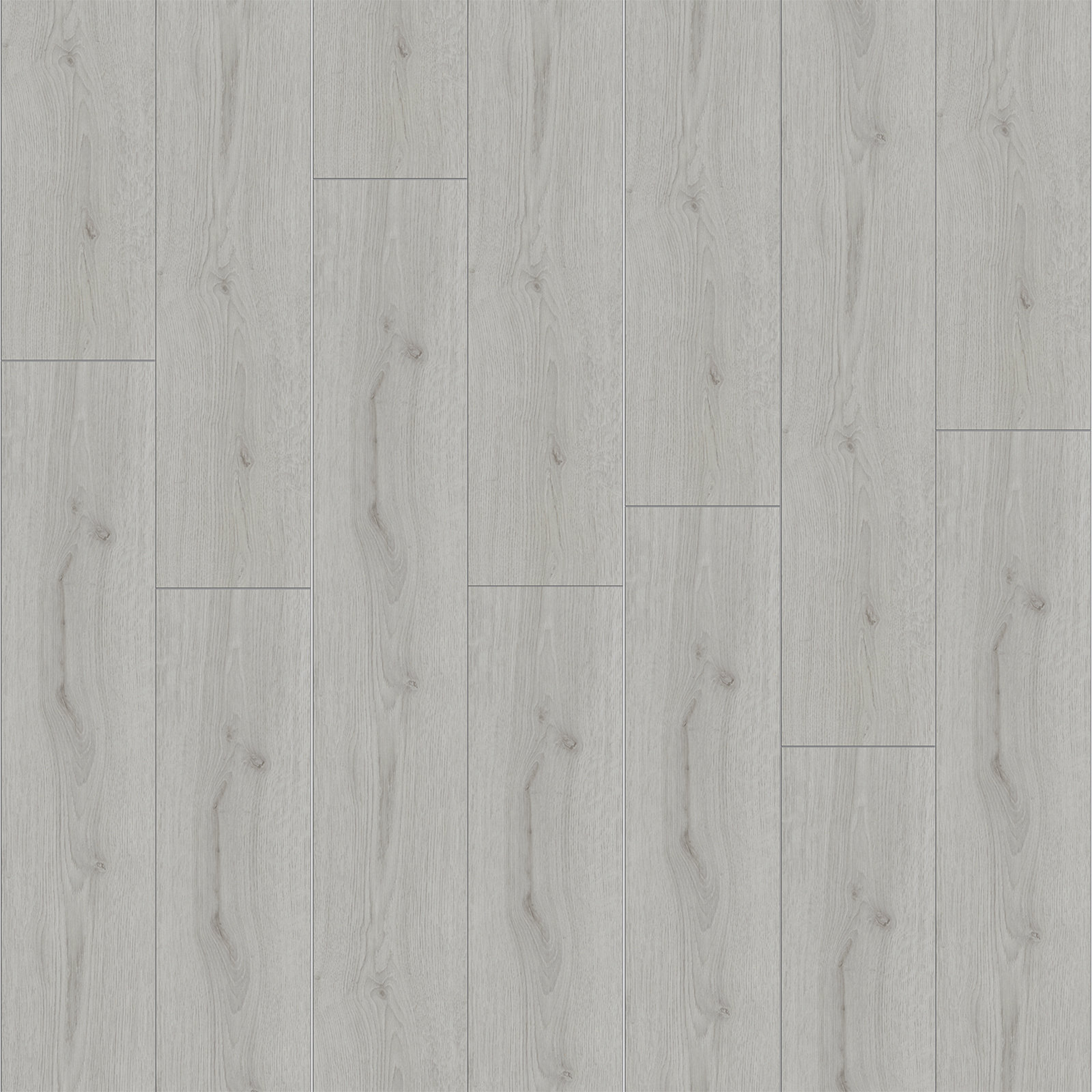 profitan Laminat - Trendeiche Silber - 8 mm